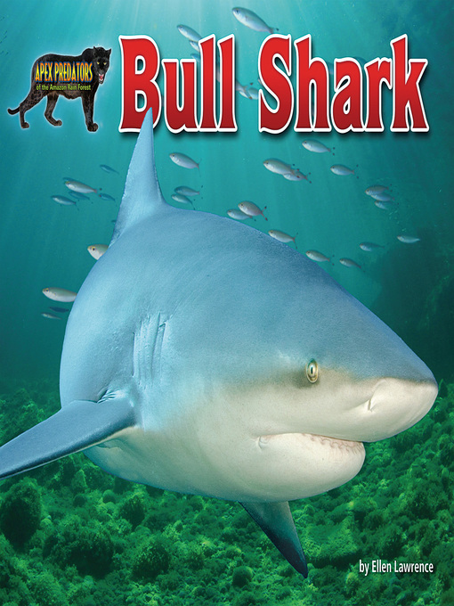 Title details for Bull Shark by Ellen Lawrence - Available